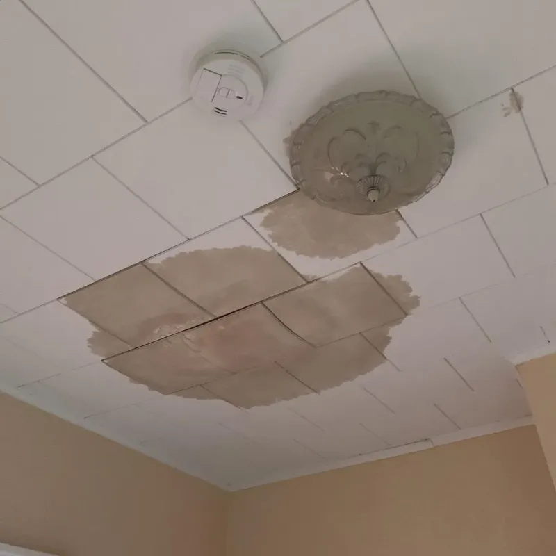 Ceiling Water Damage Repair in Hermitage, MO